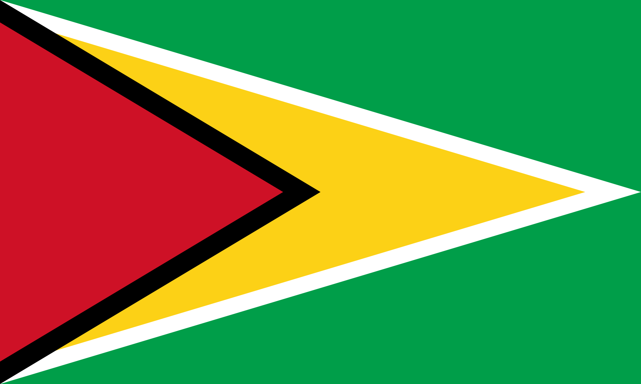 Guyana Free Email Database