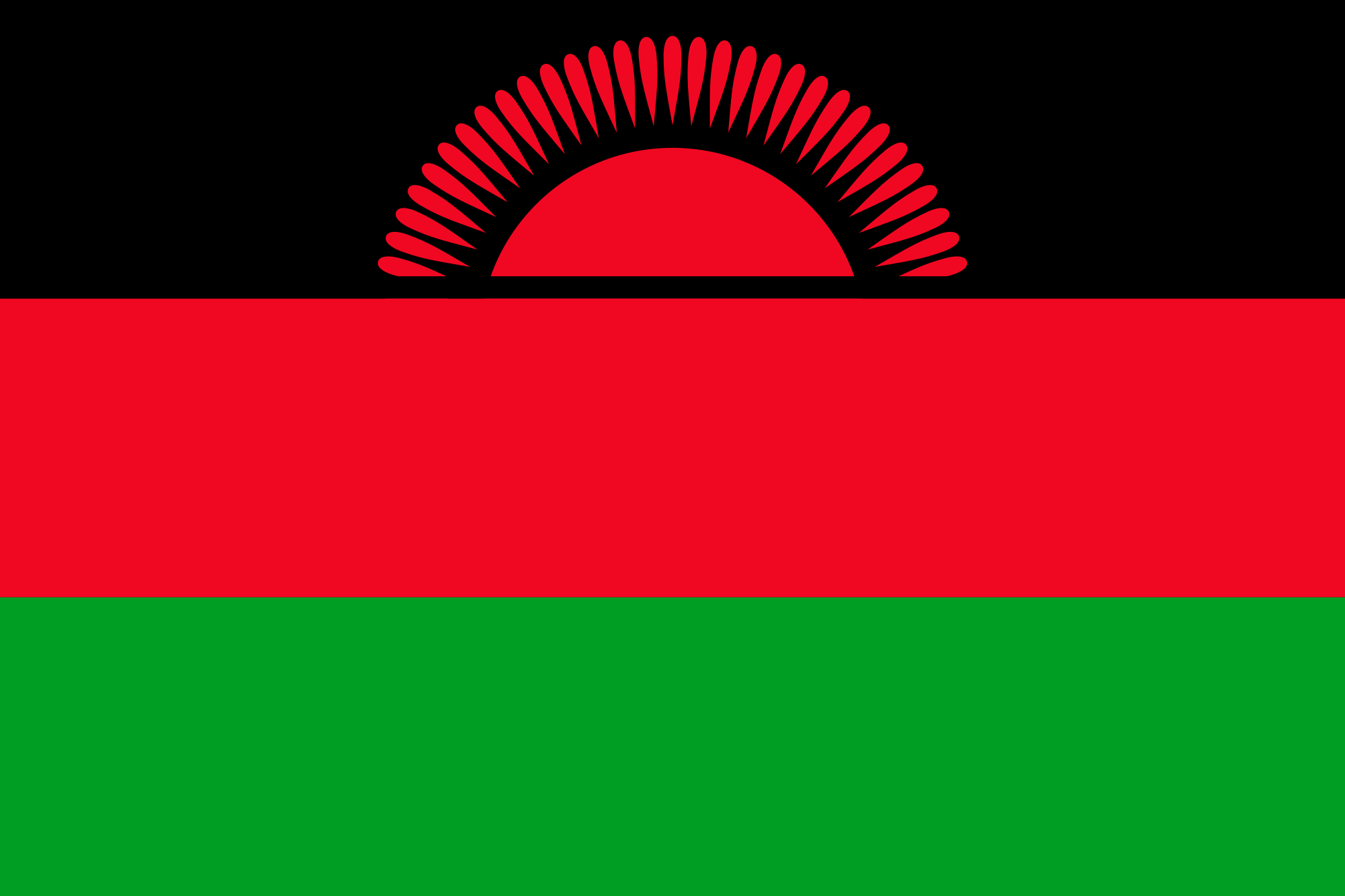 Malawi Free Email Database